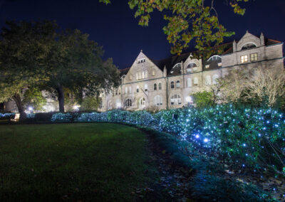 Tulane Alumni Holiday Gift Guide